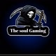 The_Soul Gaming