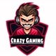 CRAZYGAMING 1MS