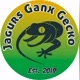 jagurs ganx gecko