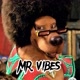 Mr.Vibes