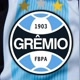 gremio fbpa2022