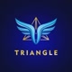 TriAngle.Official