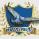 purnama project213