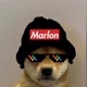 Marlon😎
