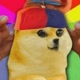 dogew