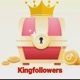 KingFollowers