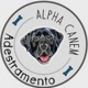 Alfa Canem Adestramento