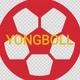 yongboll_original