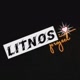Litnosproject22