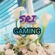 Sri gaming173