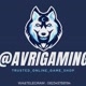 AVRI GAMING SHOP