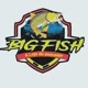 Bigfish Pesca Passos