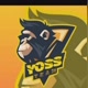 YOSS GAMING😎