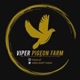 VIPER PIEGON FARM