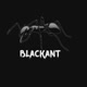 BlackAnt STORY