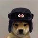 SOVIET_DOGG