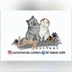 LuckyHands.Cattery