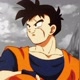 SON GOHAN6