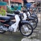 Motor.Antik