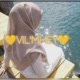 vilmey♉