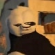 Kungfoo Pandaxx