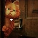 Kitten Garfield
