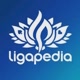 Ligapedia.com