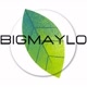 thebigmaylo