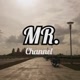 MR. CHANNEL