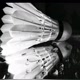 Badminton'Lovers