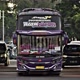 Mania Bus Hunter