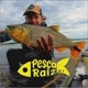 Pesca Raiz MT