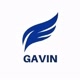 Gavin