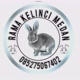 Rama kelinci medan