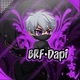 BRF • Dapi友