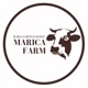 maricafarm_