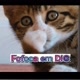Fofoca em Di＠
