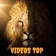 🦁Vídeos Top
