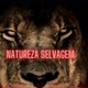 NATUREZASELVAGEM