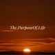 The.PurposeOf.Life
