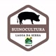 Suínos Lagoa da Serra
