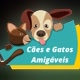Cães e Gatos Amigaveis