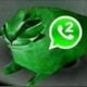 floppa WhatsApp 2