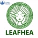 Alfatih Leafhea