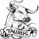 Taurus_🐂