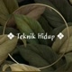 TeknikHidup