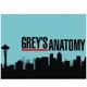 Grey's Anatomy Lovers