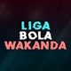 Liga Bola Wakanda