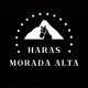 Haras Morada Alta