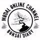 Modal Online Channel - BonsaiDiary